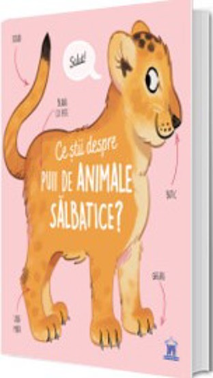 Ce stii despre puii de animale salbatice?