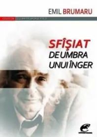 Sfîsiat de umbra unui inger