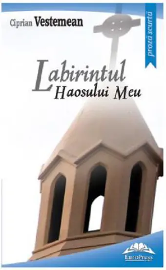 Labirintul haosului meu