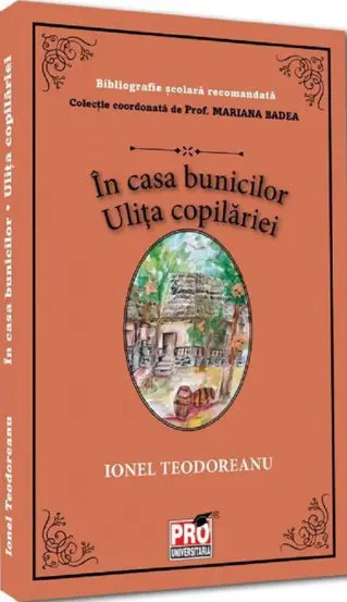 In casa bunicilor. Ulita copilariei