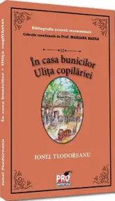 In casa bunicilor. Ulita copilariei