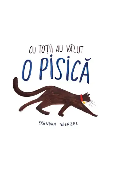 Cu totii au vazut o pisica