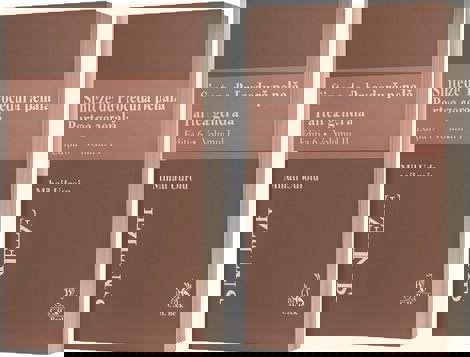 Sinteze de Drept penal. Partea generala (vol. I + vol. II)