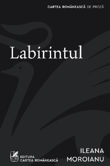 Labirintul