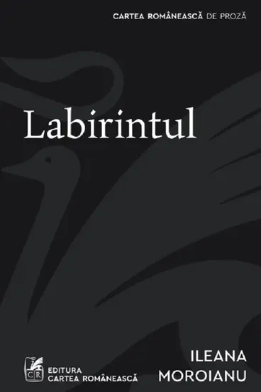 Labirintul