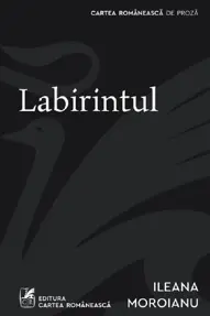 Labirintul