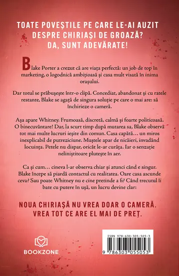 Pachet Freida McFadden iti bate la usa