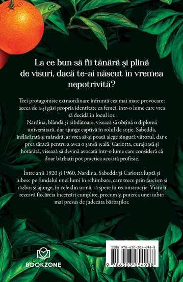 Pachet Povesti dulci-amarui