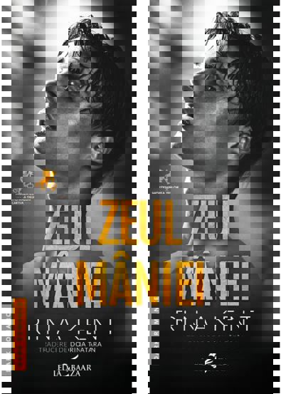 Zeul mâniei