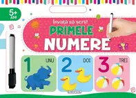 Invata sa scrii! Primele numere
