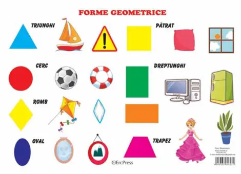 Planse forme geometrice