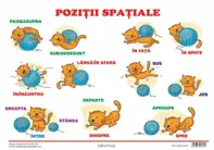 Planse pozitii spatiale