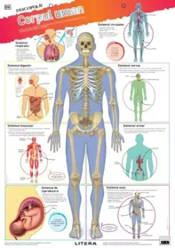 Descopera! Corpul uman (planse educationale)