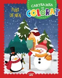 Fulg de nea. Cartea mea de colorat