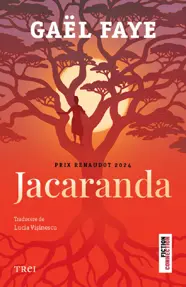 Jacaranda