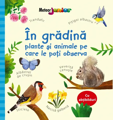 In gradina – plante si animale pe care le poti observa