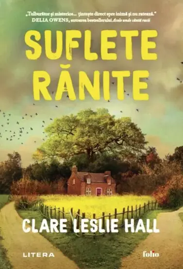 Suflete ranite