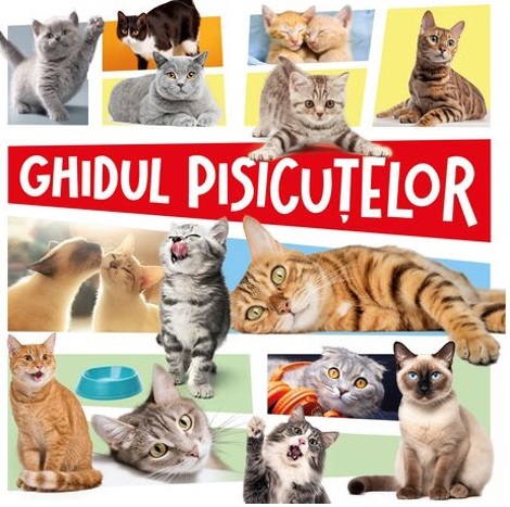 Ghidul pisicuțelor