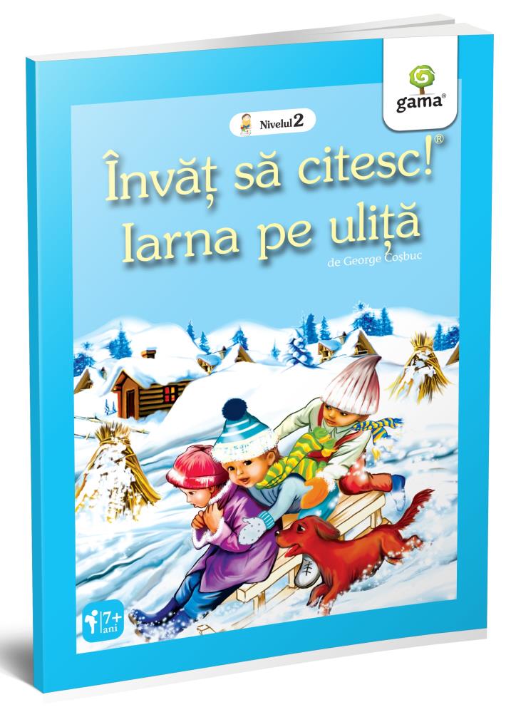 Iarna pe uliță (resigilat)