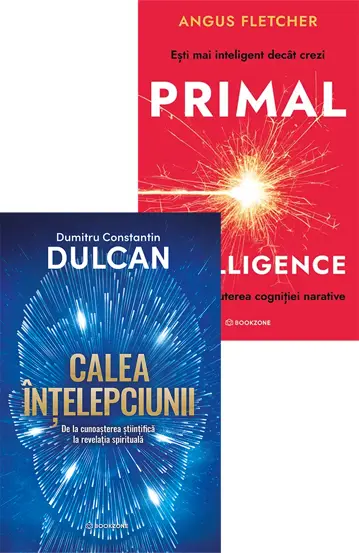 Pachet Conectare profunda