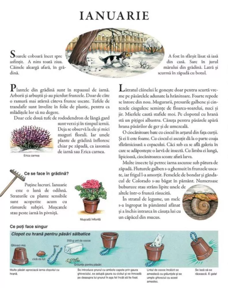 Un an in gradina mea