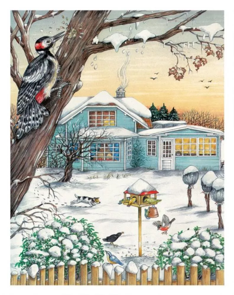 Un an in gradina mea