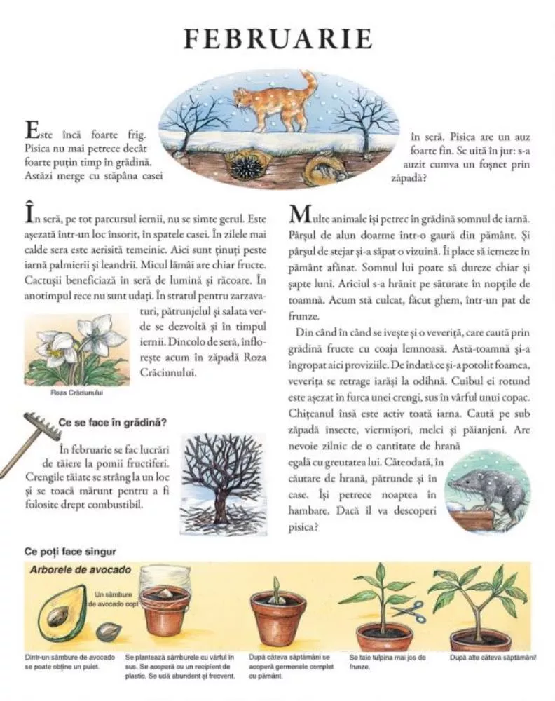 Un an in gradina mea