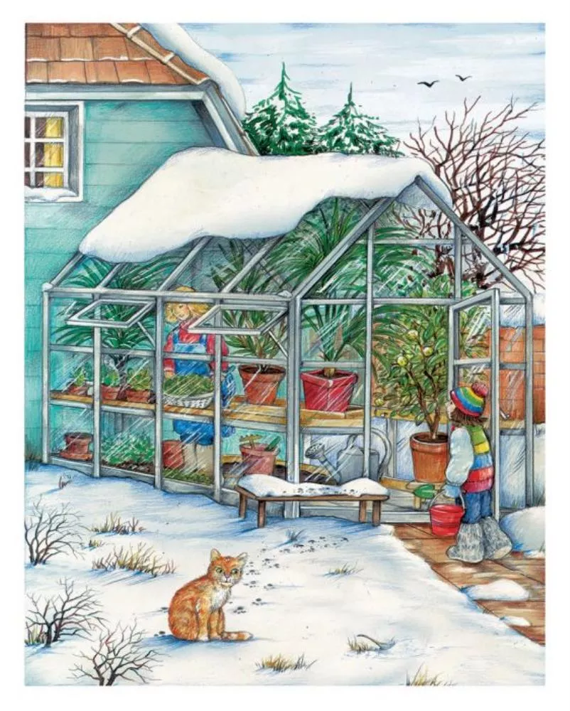 Un an in gradina mea