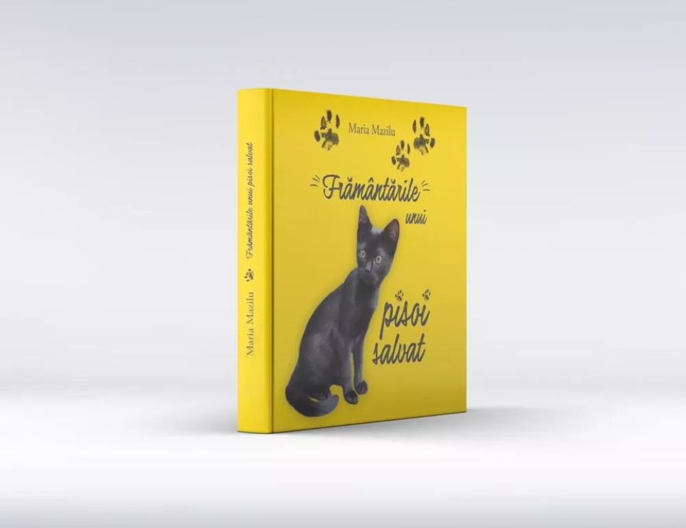 Framantarile unui pisoi salvat