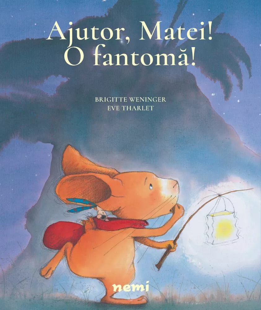 Pachet Aventurile lui Matei