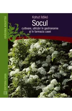 Socul: Cultivare, utilizari in gastronomie si in farmacia casei