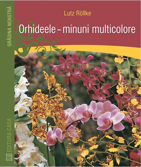 Orhideele minuni multicolore