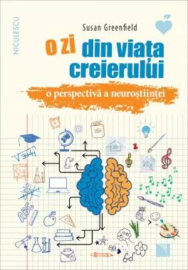 O zi din viata creierului. O perspectiva a neurostiintei