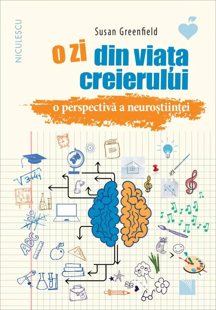 O zi din viata creierului. O perspectiva a neurostiintei