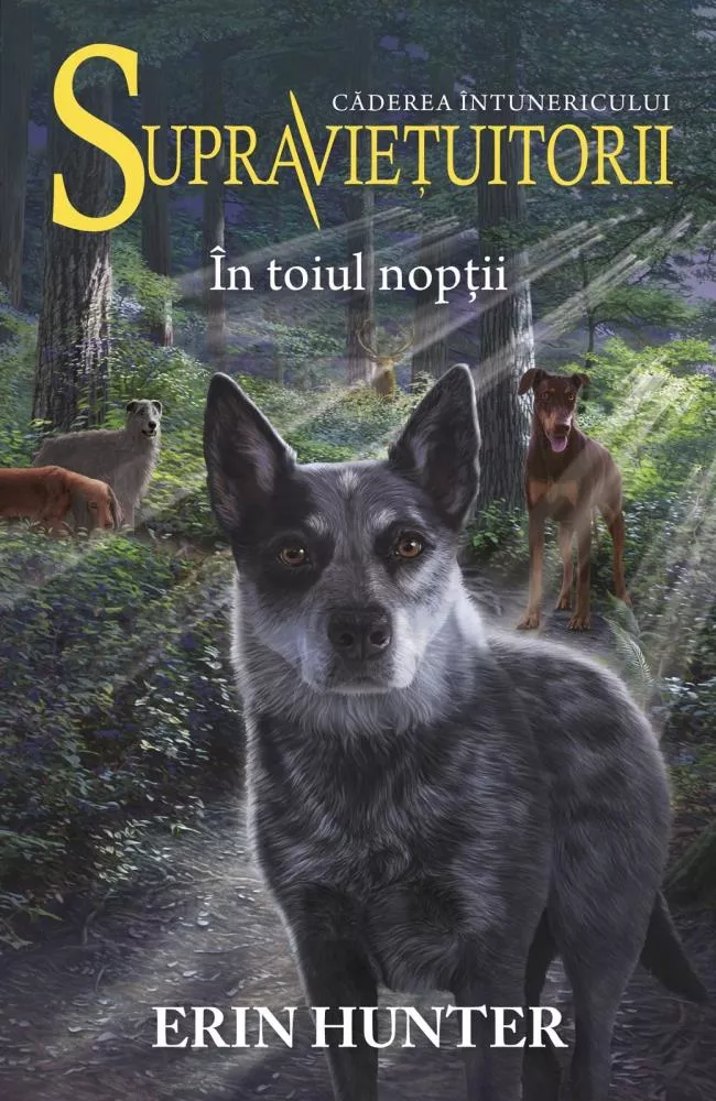 Supravietuitorii Vol.8: In toiul noptii