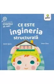 Ce este ingineria structurala