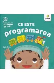 Ce este programarea