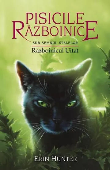 Razboinicul uitat. Seria Pisicile razboinice Vol.23