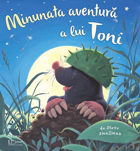 Minunata aventura a lui Toni