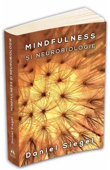 Mindfulness si neurobiologie 