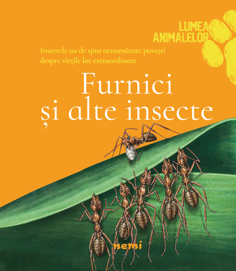 Furnici si alte insecte