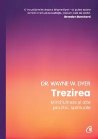 Trezirea. Mindfulness și alte practici spirtuale