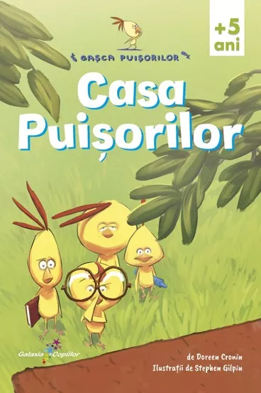 Casa Puisorilor