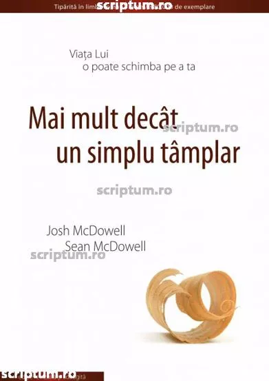 Mai mult decat un simplu tamplar