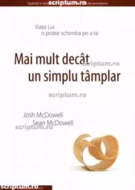 Mai mult decat un simplu tamplar