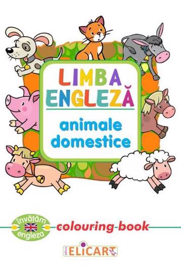 Limba engleză. Animale domestice. Colouring book Reduceri Mari Aici Animale Bookzone
