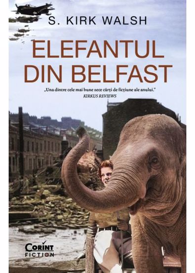 Elefantul din Belfast Reduceri Mari Aici Belfast Bookzone