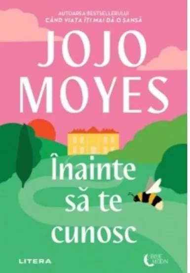 Inainte sa te cunosc