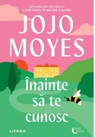 Inainte sa te cunosc