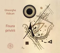 Fisura privirii